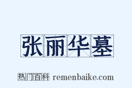 张丽华墓是什么意思的图片